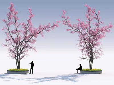 Pink Flowering Trees In Outdoor Space With Standing Person Taking Photos And Sitting Person 3d model