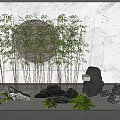 Bamboo Arrangement With Stones Circular Ring And Green Plants In Modern Indoor Scene