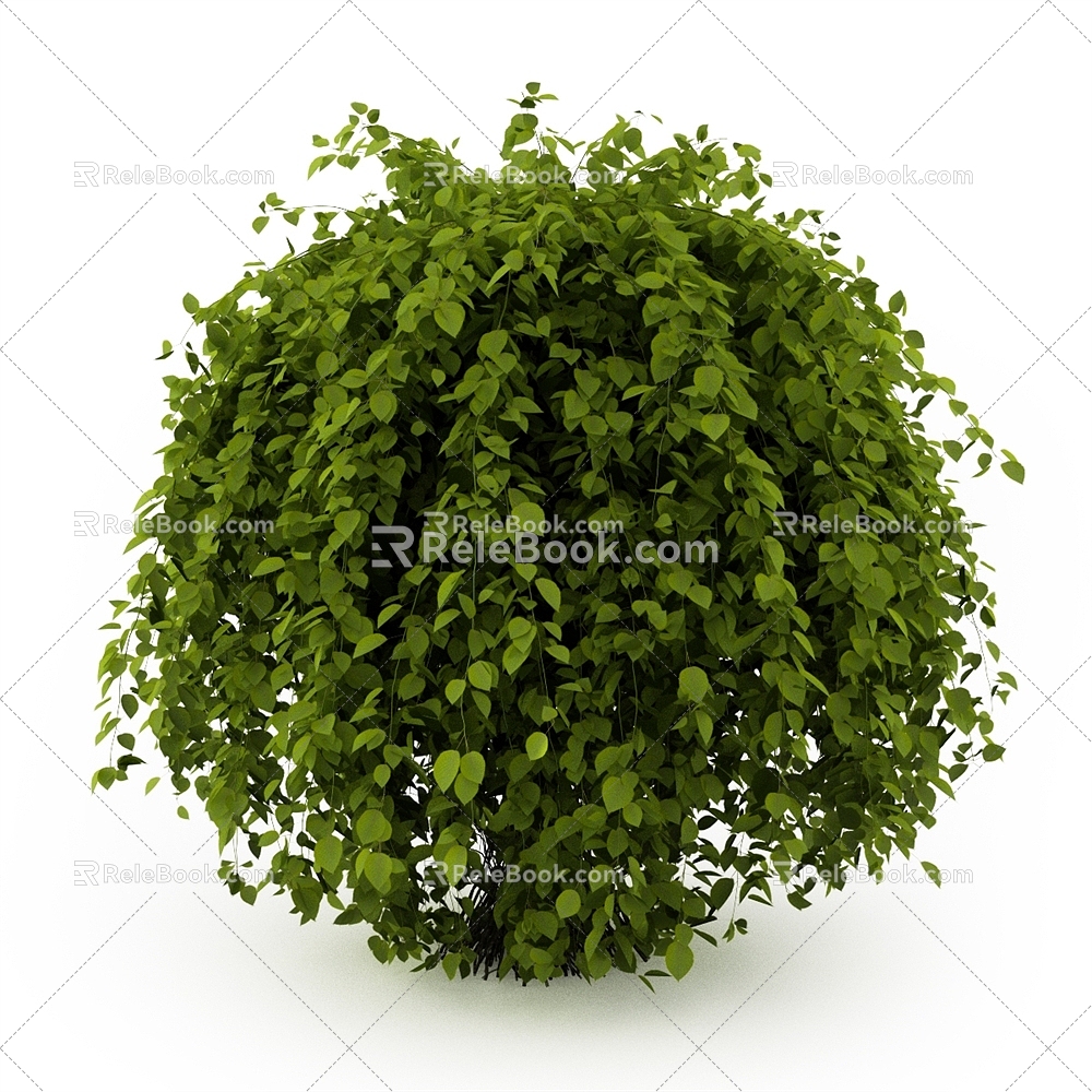 Banyan landscape shrub outdoor plant 3d model