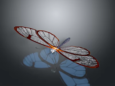 Beautiful Transparent Winged Insect With Red Edges And Reflective Surface 3d model
