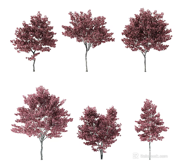 Red Leaf Arbor Trees In Various Forms With Vibrant Foliage And Natural Design 3d model 