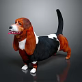 Basset Hound Dog With Brown Black White Coat And Long Ears Standing