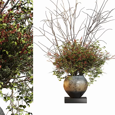 Potted Bonsai Plant With Various Branches Green Leaves Textured Metallic Pot And Black Base 3d model