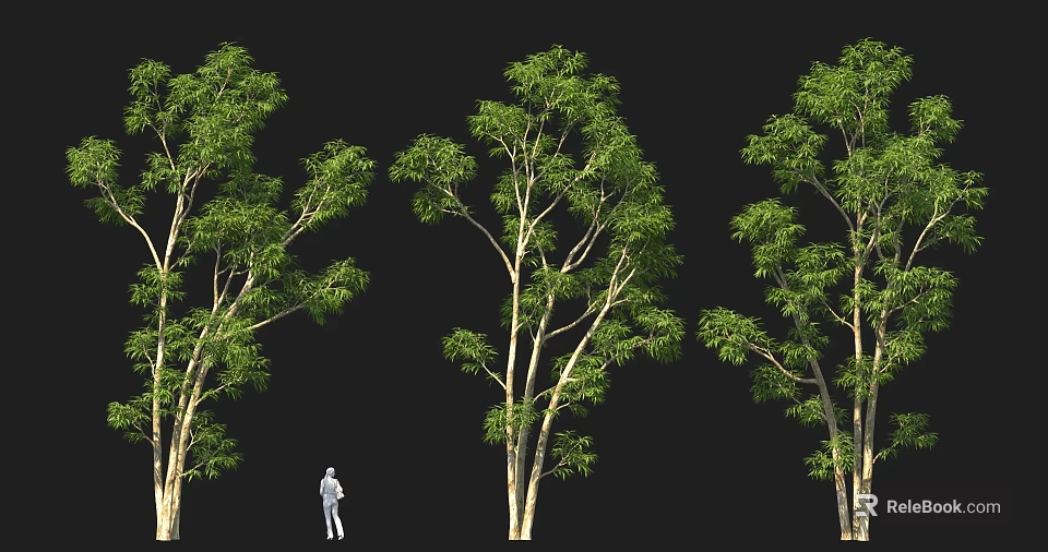 Lush Tall Green Trees With Human Figure Standing In Black Background 3d model 