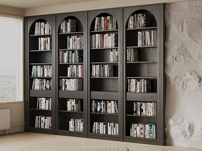 Dark Bookshelf with Arched Doors Filled with Books Near Window and Textured Wall 3d model