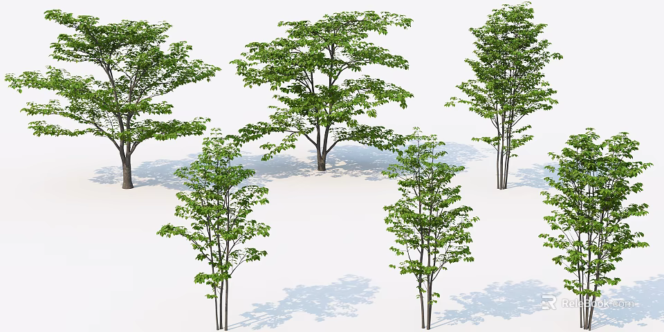 Green Arbor Trees With Lush Foliage And Natural Shadows In Different Forms 3d model