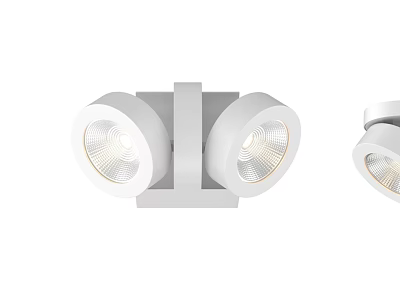 Modern White Double Head Downlights Spotlights For Interior Lighting 3d model