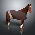 Brown Horse Wearing Dark Colored Blanket With Red Trim And White Leg Wraps