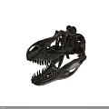 Detailed Anatomical Dinosaur Skull Fossil With Sharp Teeth And Bone Texture