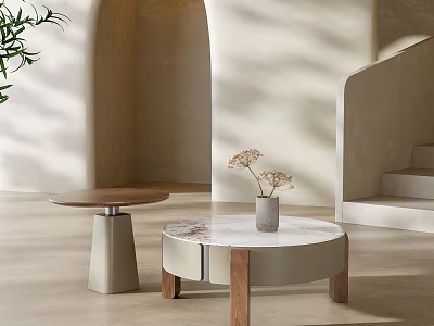 Modern Minimalist Coffee Tables With Marble Top And Wooden Base In Soft Natural Light 3d model