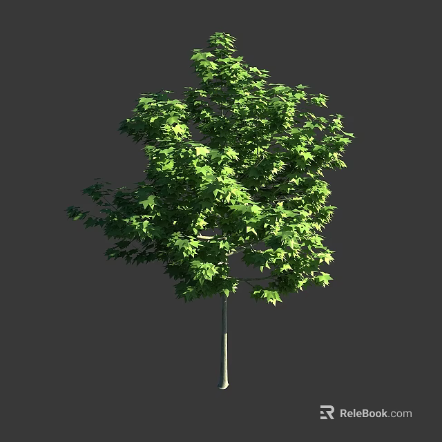 Arbor with Lush Green Foliage and Straight Trunk in Natural Scene 3d model 
