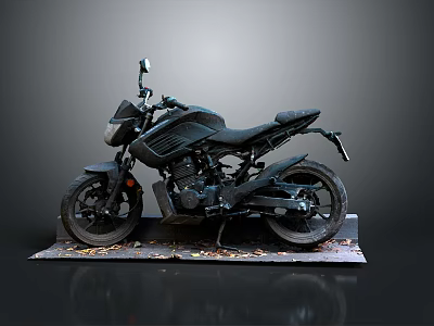 Black Motorcycle on Display Stand with Fallen Leaves Against Dark Background 3d model