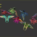 Colorful Flying Insects With Vibrant Wings And Various Patterns On Dark Gray Background