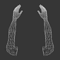 Realistic Human Arms And Hands Anatomical 3D Model Rendering On Black Background 3d model