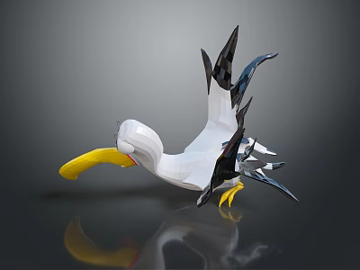 White and Black Pelican with Yellow Beak Spread Wings 3D Model Gray Background Reflection 3d model