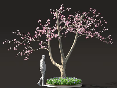 Person Standing Near Blooming Tree With Pink Blossoms And Lush Green Plants 3d model