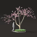 Person Standing Near Blooming Tree With Pink Blossoms And Lush Green Plants