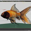 Goldfish Fish Realistic Fish 3d model