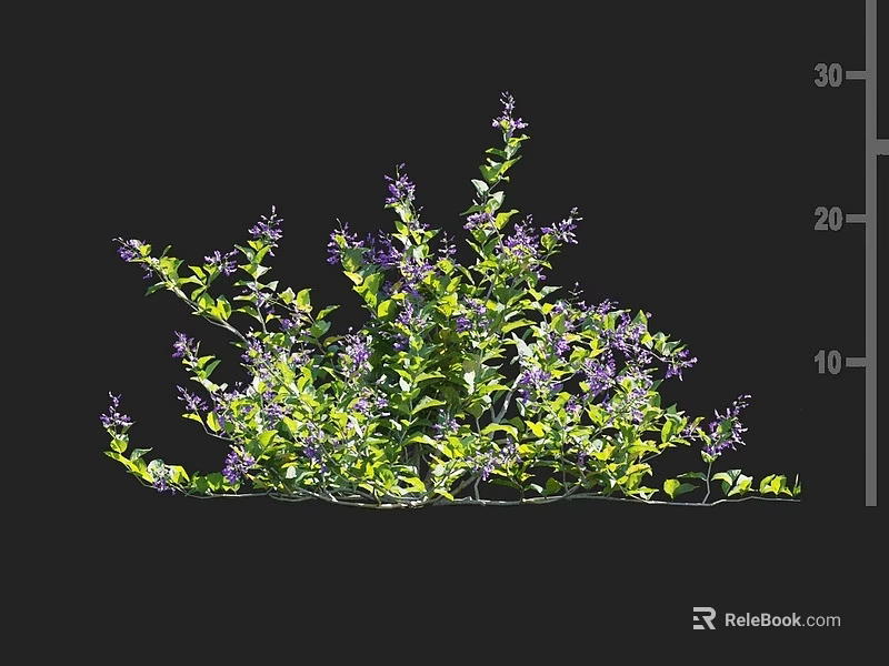 Vibrant Green Shrub with Purple Flowers and Lush Foliage in Garden 3d model 