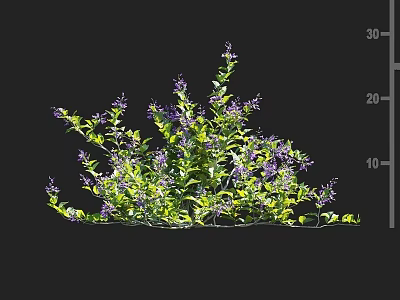 Vibrant Green Shrub with Purple Flowers and Lush Foliage in Garden 3d model