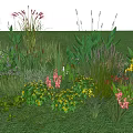Diverse Aquatic Plants With Lush Greenery And Colorful Flowers In Wetland
