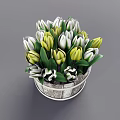 Bonsai Potted Plant in Wooden Bucket with Yellow And White Tulips and Green Leaves