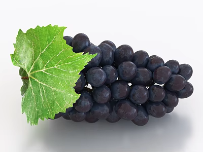 Juicy Ripe Purple Grapes With Fresh Green Leaf On White Background 3d model