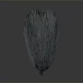 Detailed 3D Rendered Emu Head With Textured Feathers On Gray Background