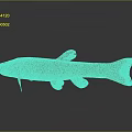 Brown Spotted Fish With Yellow Fins And Slender Body On Gray Background