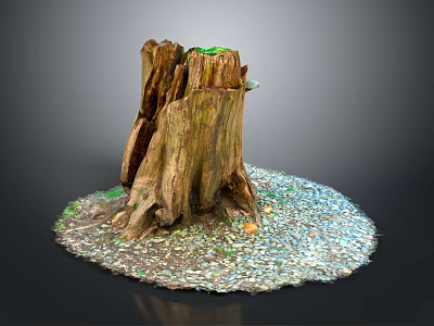 Natural Weathered Tree Stump Outdoor Scene With Gravel Base And Small Green Plants 3d model