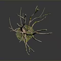 Decorative Tree Like Ornament With Slender Light Brown Branches And Green Moss Base 3d model