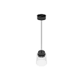 Modern Hanging Pendant Lights With Glass Shade Black Metal And Illuminated Ring