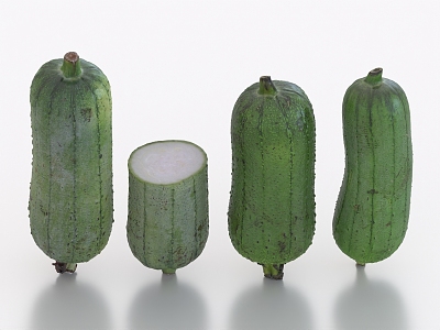 Luffa Vegetable Food 3d model