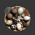 Decorative Ornament Set With Various Textured Spheres Pinecones And Seashells In Wooden Tray