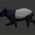 Realistic 3D Tapir Character With Gray And White Body Standing On Reflective Surface