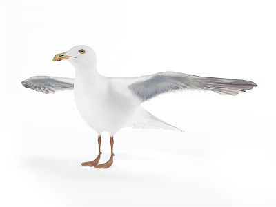 Reptile Lizard With Scaly Body Crawling On Dry Desert Sand Surface 3d model