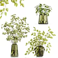 Fresh Green Foliage Decorative Arrangement in Glass Vase for Home Interior Decor