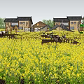 Rural Scenery Featuring Yellow Flower Fields Traditional Houses Windmill Wooden Platforms Sunshades And Chairs