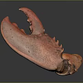 Appetizing Red Cooked Lobster Claw With Shiny Surface And Detailed Texture On Dark Background
