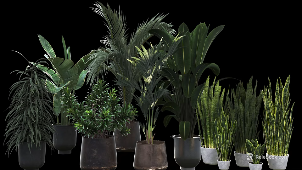 Varied Indoor Potted Plants With Tropical Green Leaves And Ceramic Metal Pots 3d model 