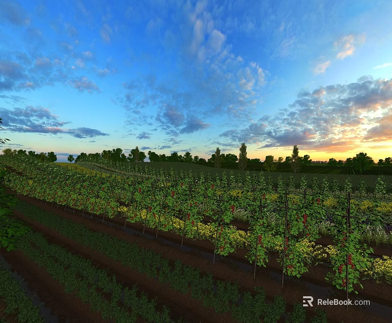 Elegant Garden Landscape Design With Lush Plants Trees And Sunset Sky View 3d model 