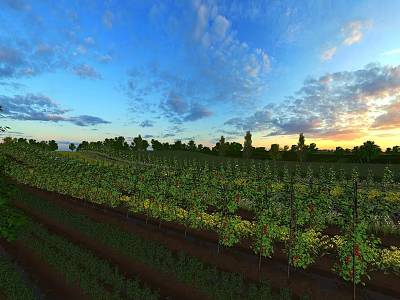 Elegant Garden Landscape Design With Lush Plants Trees And Sunset Sky View 3d model