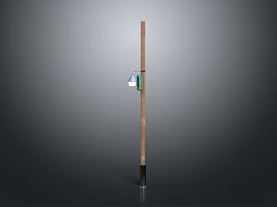Simple Street Light Structure With Wooden Pole And Green Lamp Shade 3d model
