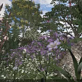 Lush Natural Garden Scene With Purple White Flowers Green Trees Rock And Sunny Sky