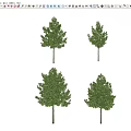 Modern Arbor Street Tree Courtyard Tree Landscape Tree Ginkgo Tree Forest Trees 3d model