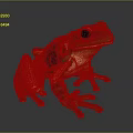 Vibrant Green Red Frog With Detailed Anatomical Structure And Lifelike Features