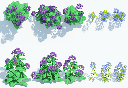 Modern shrubs 3d model