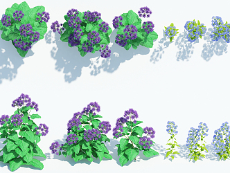 Modern shrubs 3d model