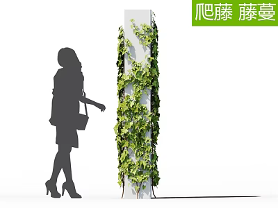 Green Leafy Climbing Vines Covering White Pillar Next to Stylish Woman Silhouette 3d model