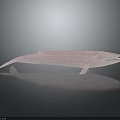 Realistic Red Whale Model Displayed On Gray Background With Reflection 3d model